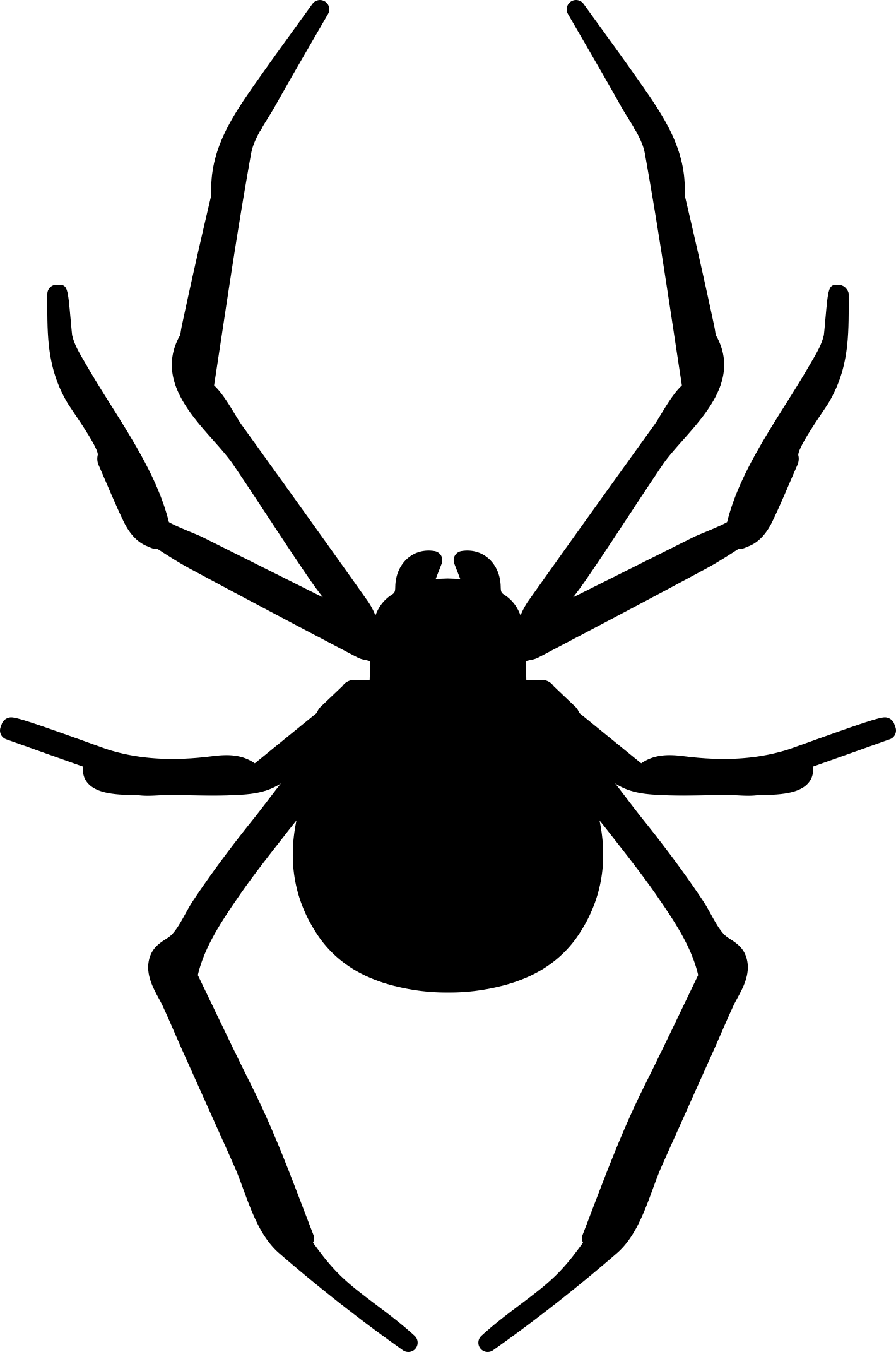 Animal Spider Vinyl Cutting Svg File Free Vectors